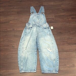 Free People Light Blue Denim Overalls